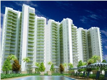 Middle Floor Godrej Frontier Apartment Sale Sector 80 Gurgaon