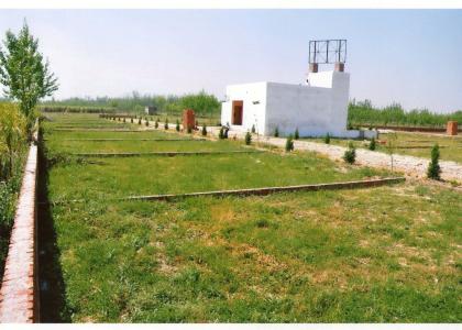 300 Sq Meters Plot Sale Sector 51 Noida