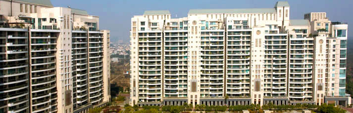 4 BHK Dlf The Aralias Apartment Sale Golf Course Road Gurgaon