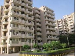 1850 sq ft Flat Rent Ashoka housing Society Gurgaon