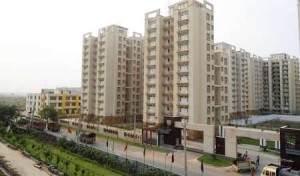 2 BHK Flat Rent CHD Avenue Gurgaon