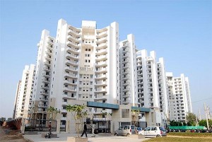 Cosmos Flat Rent Palam Vihar Gurgaon