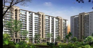 1921 sq ft DLF New Town Heights Apartment Rent Sector 91 Gurgaon