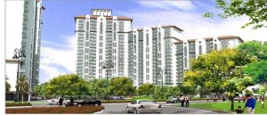 DLF New Town Heights Apartment Rent Sector 78 Gurgaon