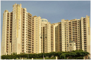 DLF The Summit Apartment Sale Sector 54 Gurgaon