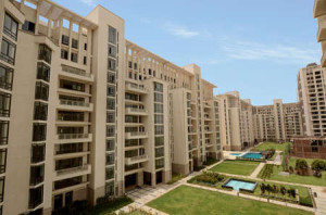 Emaar MGF The Palm Springs Apartment Rent Sector 54 Gurgaon