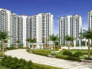 2000 sq ft Golf Link Apartment Rent Sector 54 Gurgaon