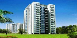 3 BHK Sale ILD Grand Sector 37C Gurgaon