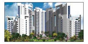 Parsvnath Exotica Apartment Rent Sector 53 Gurgaon