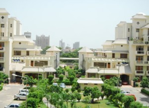 Lower Floor Parsvnath Green Ville Apartment Rent Sector 48 Gurgaon