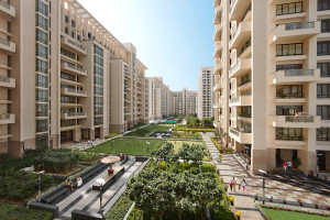 The Hibiscus Apartment Sale Sector 50 Gurgaon