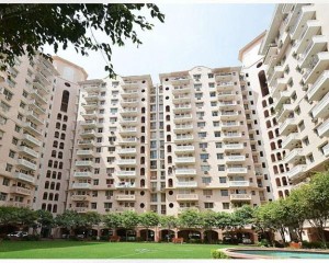 DLF The Regency Flat Rent Gurgaon