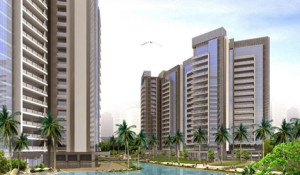 Tulip Orange Homes Apartment Rent Sector 67 A Gurgaon