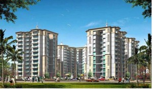 3 BHK Tulip Petals Apartment Rent Sector 89 Gurgaon