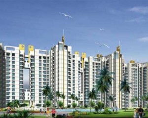 Furnished Tulip Petals Apartment Sale Sector 89 Gurgaon 