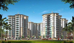 Tulip Petals Flat Rent Sector 89 Gurgaon