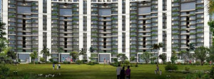 3 BHK Tulip Violet Apartment Sale Sector 69 Gurgaon