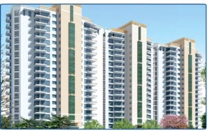 Unitech Harmony Apartment Sale Nirvana Country Gurgaon