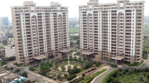 3300 sq ft Flat Rent Vipul Belmonte Gurgaon