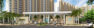 1000 sq ft Flat Rent Vipul Lavanya Gurgaon