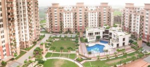 Vipul Orchid Garden Apartment Rent Sector 54 Gurgaon