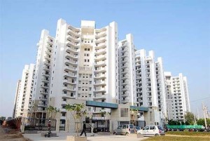 Wembley Estate Apartment Rent South City 2 Gurgaon