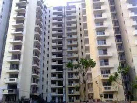 Maple Heights Apartment For Rent Sushant Lok 1 Gurgaon