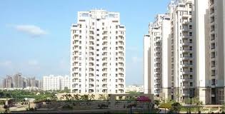 Orchid Petals Apartment For Rent Sector 49 Gurgaon